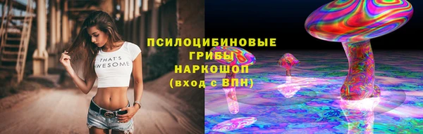 гашик Богородицк