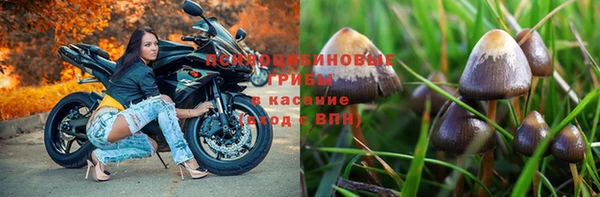 а пвп мука Богданович